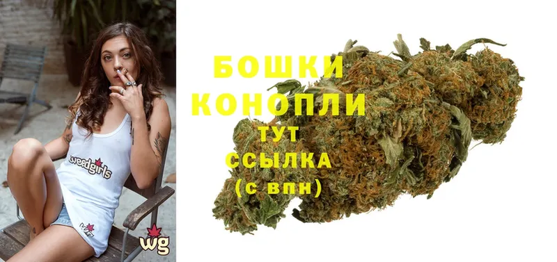 цена   Качканар  Бошки марихуана OG Kush 